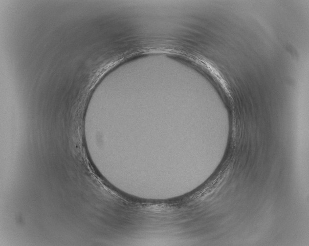 X0000115520385200912040933