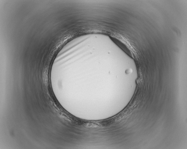 X0000115520386200912040933