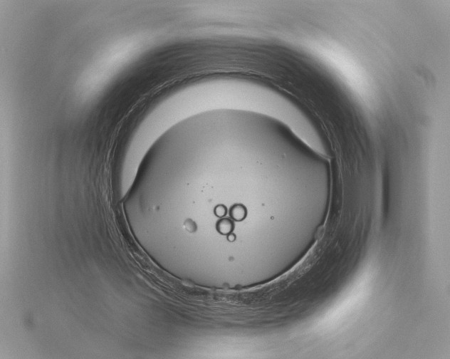 X0000115520387200912040933