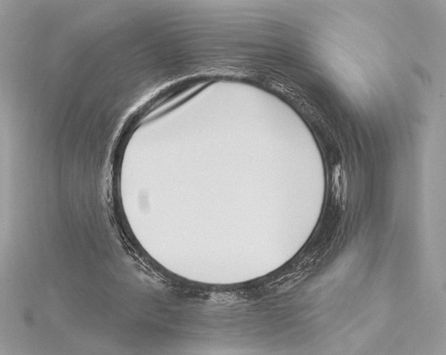 X0000115520388200912040933