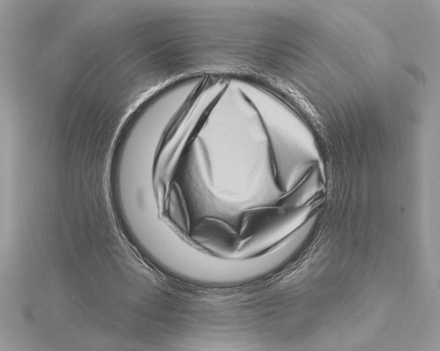 X0000115520391200912040933