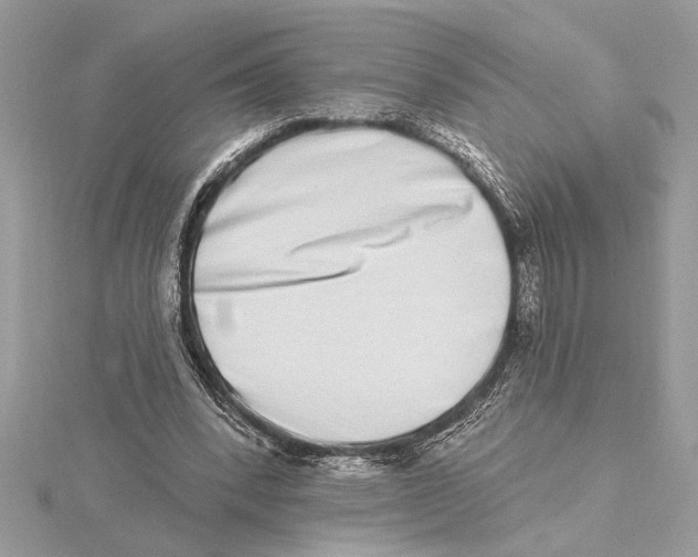 X0000115520392200912040933