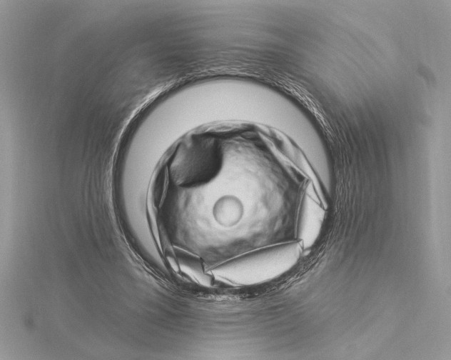 X0000115520395200912040933