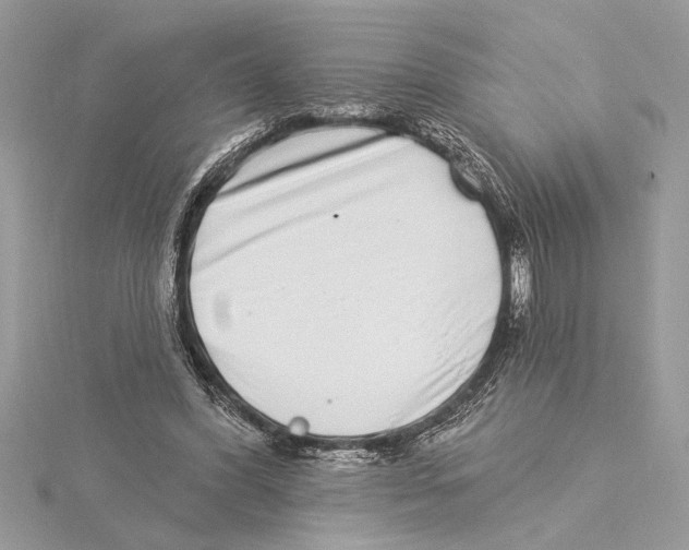 X0000115520396200912040933