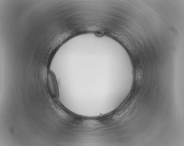 X0000115520397200912040933