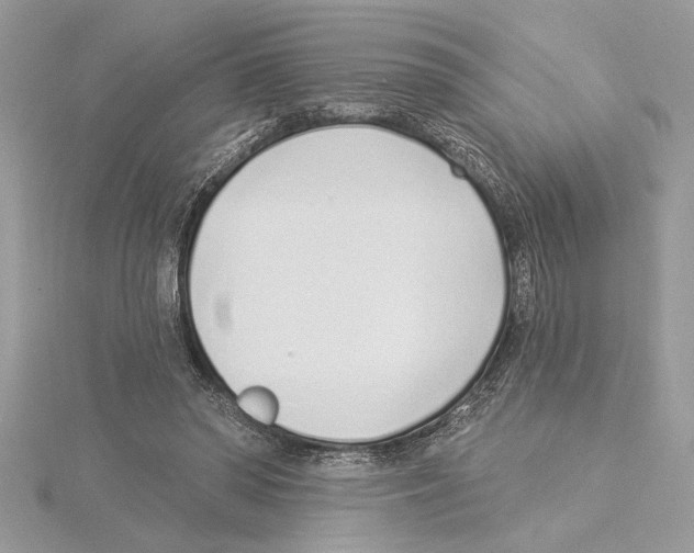 X0000115520398200912040933