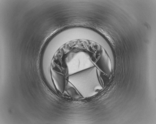 X0000115520399200912040933