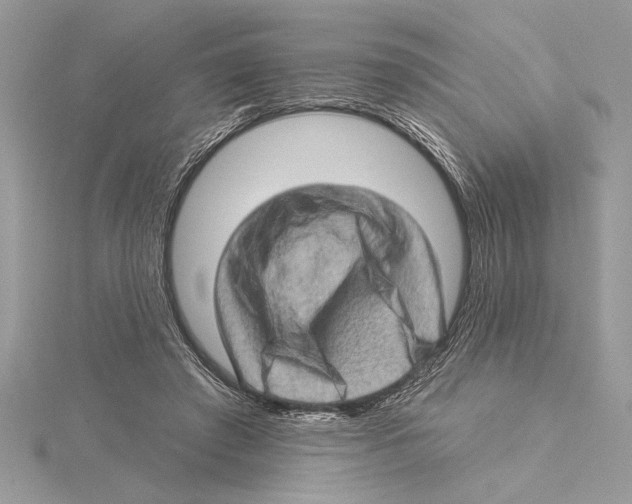 X0000115520401200912040933