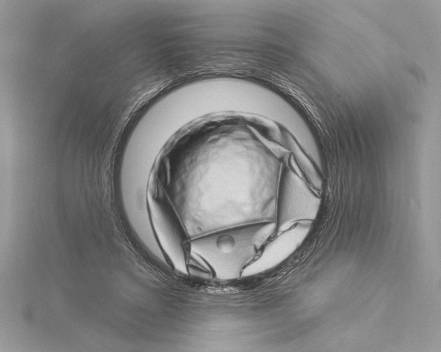 X0000115520403200912040933