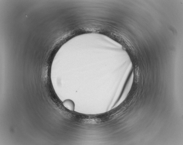 X0000115520404200912040933