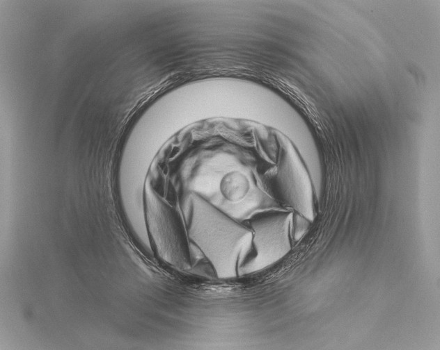 X0000115520405200912040933