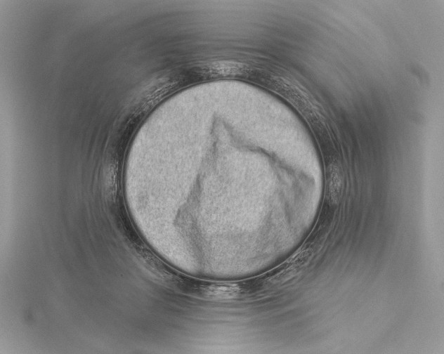 X0000115520410200912040933