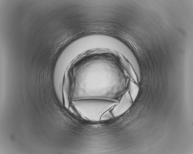 X0000115520411200912040933