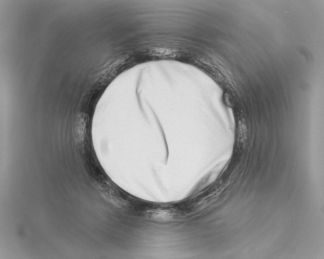 X0000115520412200912040933