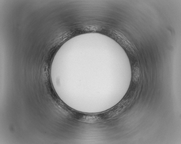 X0000115520414200912040933