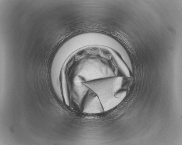 X0000115520415200912040933