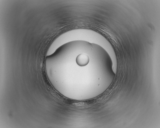 X0000115520417200912040933