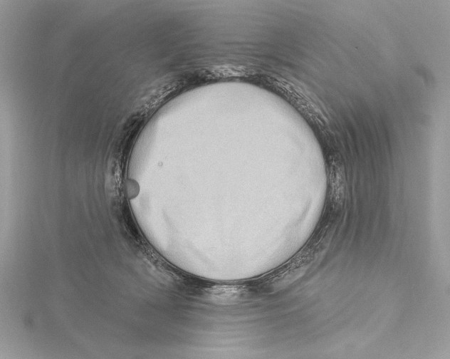 X0000115520418200912040933