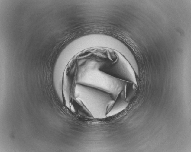 X0000115520419200912040933