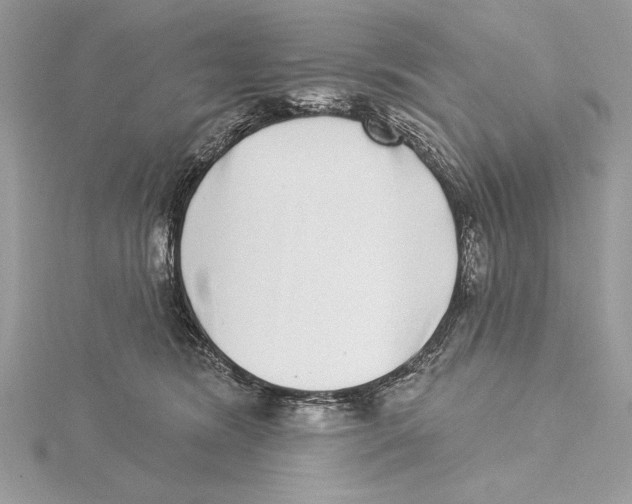 X0000115520420200912040933