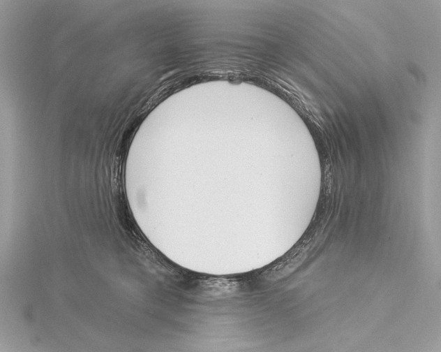 X0000115520421200912040933