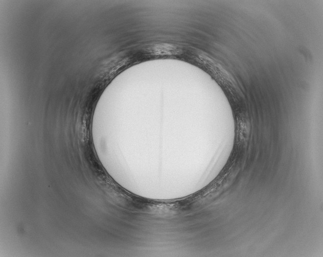 X0000115520422200912040933