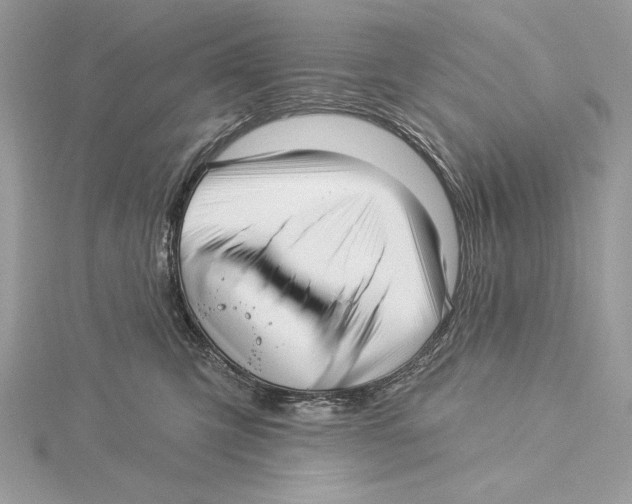 X0000115520423200912040933