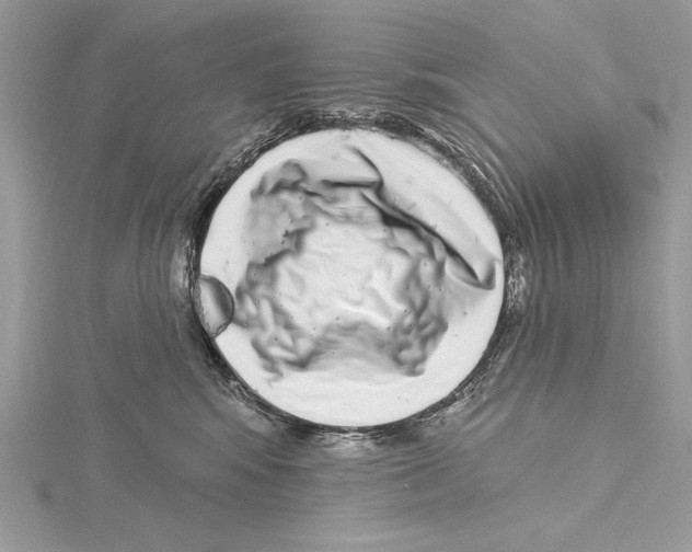 X0000115520424200912040933