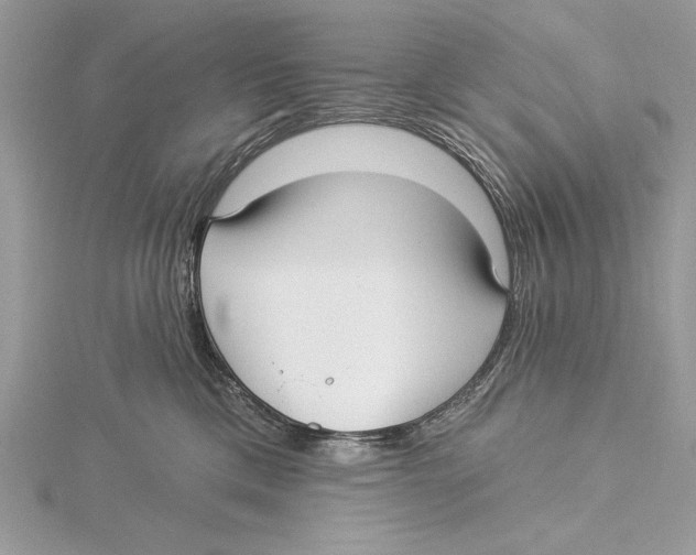 X0000115520425200912040933