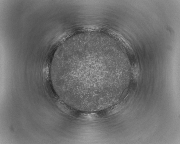 X0000115520427200912040933