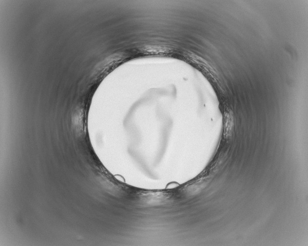 X0000115520428200912040933