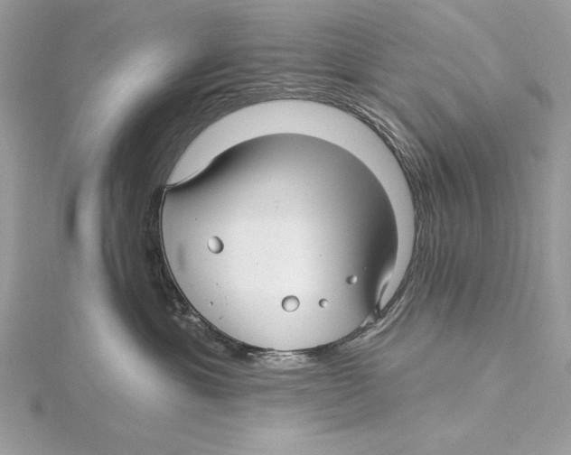 X0000115520429200912040933