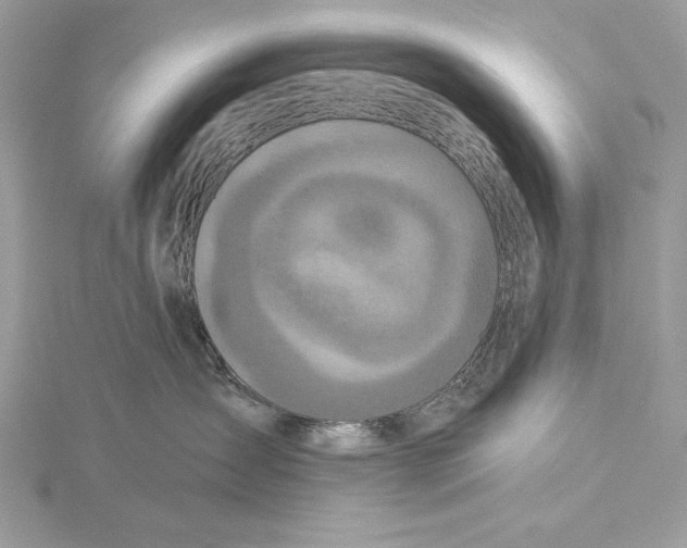 X0000115520431200912040933