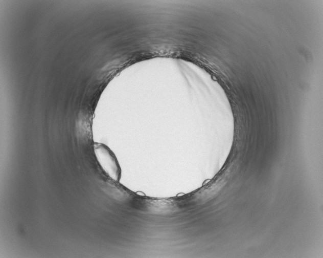 X0000115520432200912040933