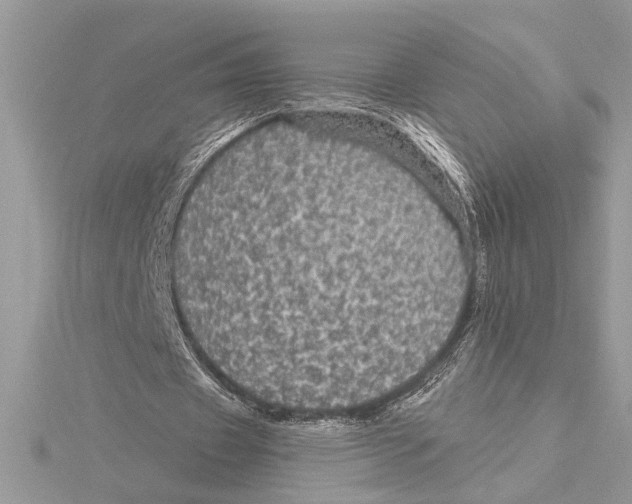 X0000115520433200912040932