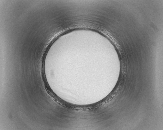 X0000115520434200912040932