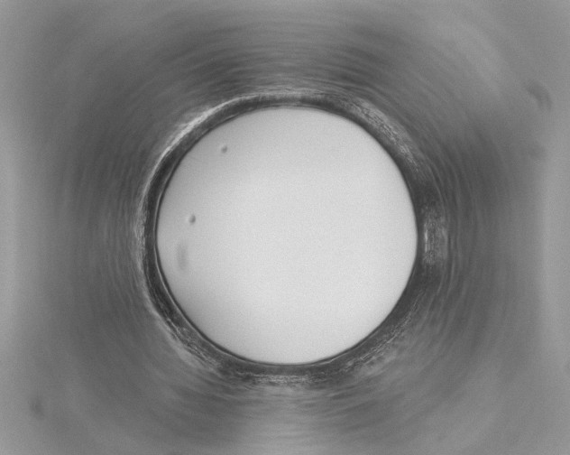 X0000115520436200912040932