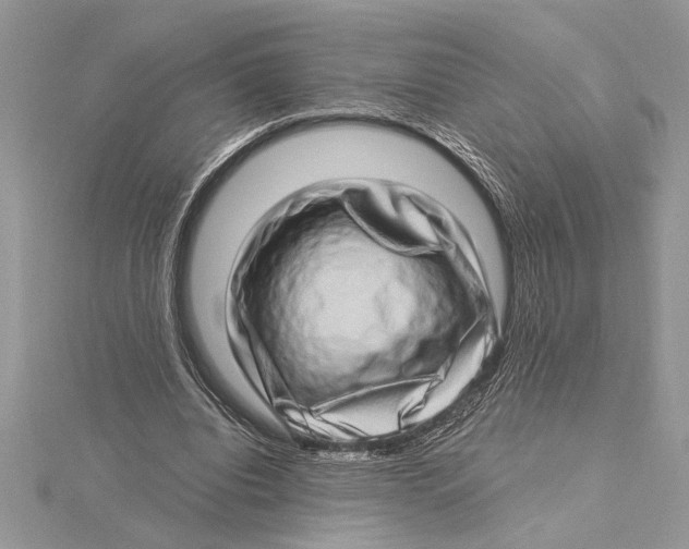 X0000115520440200912040932