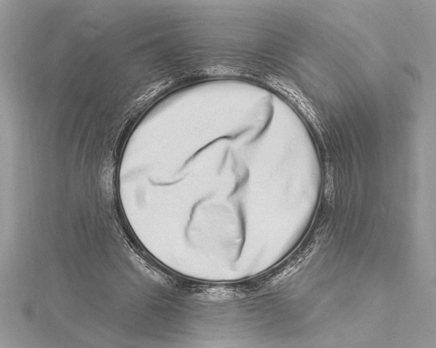 X0000115520441200912040932