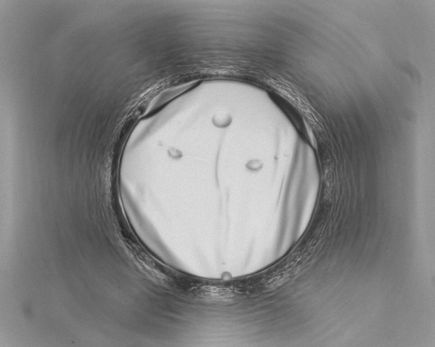 X0000115520442200912040932