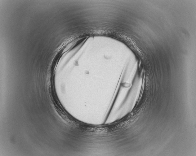 X0000115520443200912040932