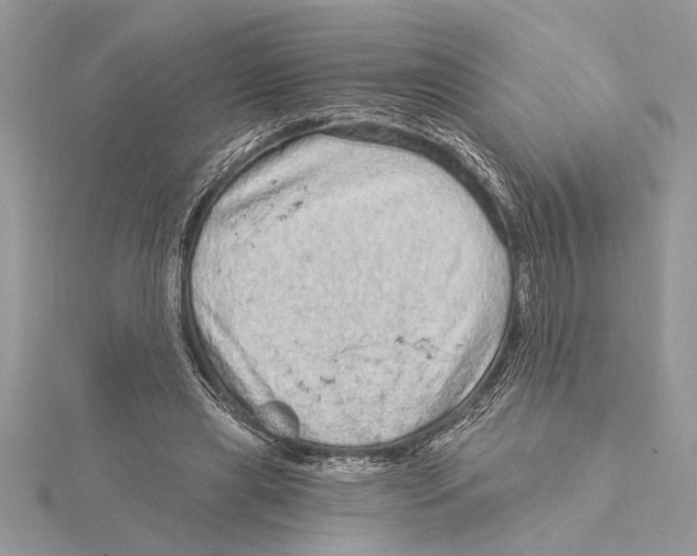 X0000115520445200912040932