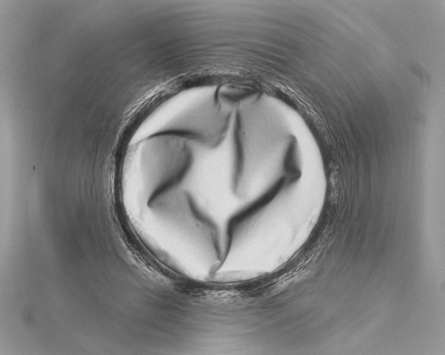 X0000115520446200912040932