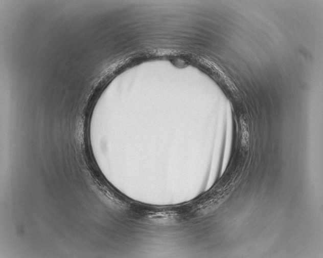 X0000115520447200912040932