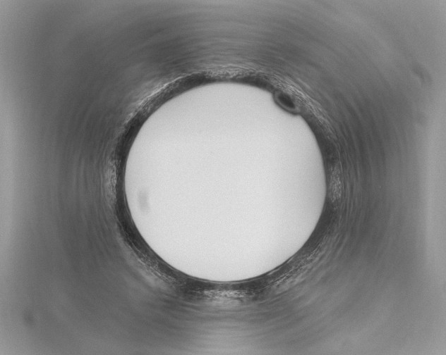 X0000115520448200912040932