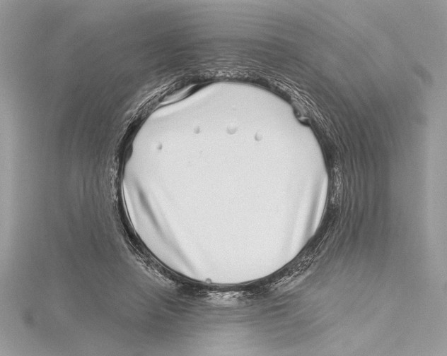 X0000115520450200912040932