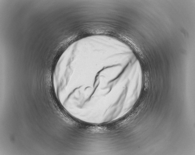 X0000115520453200912040932