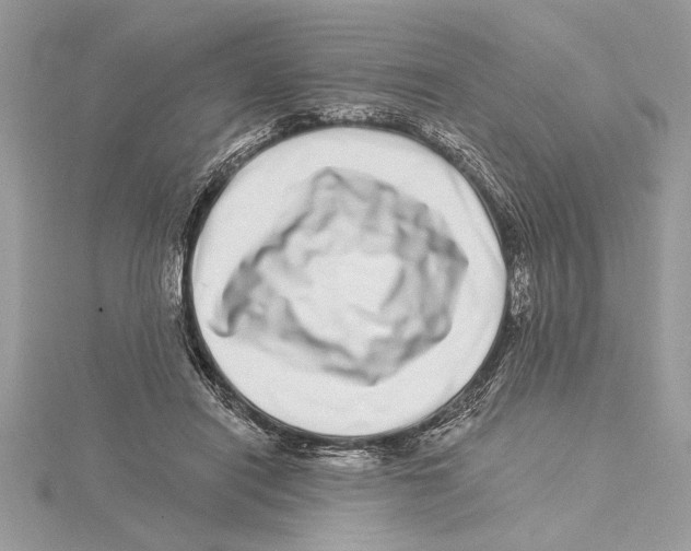 X0000115520454200912040932