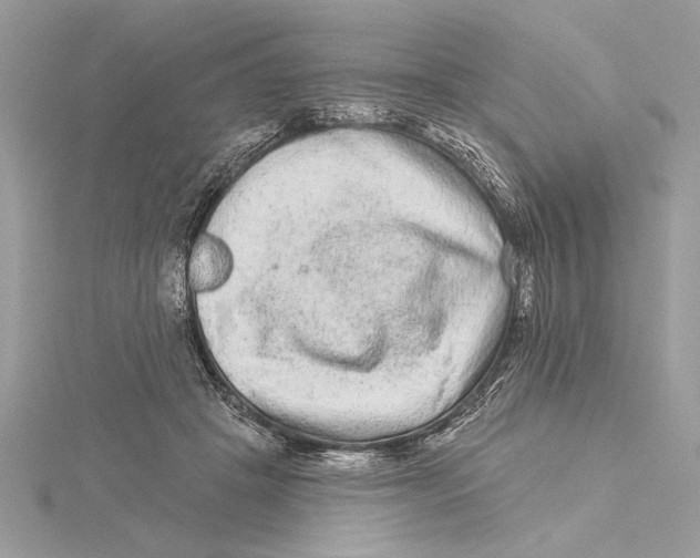 X0000115520457200912040932