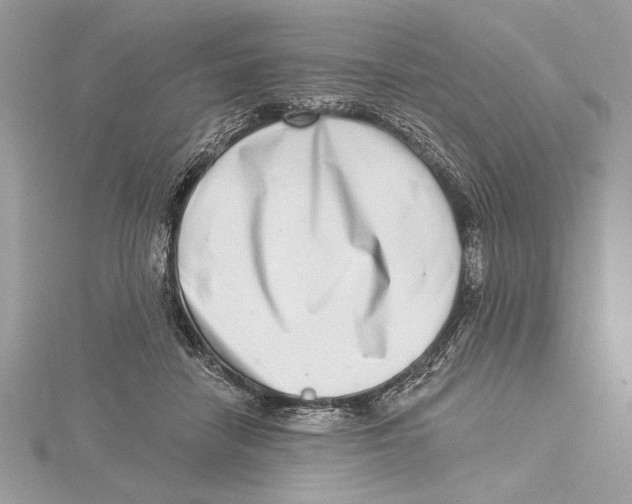 X0000115520458200912040932